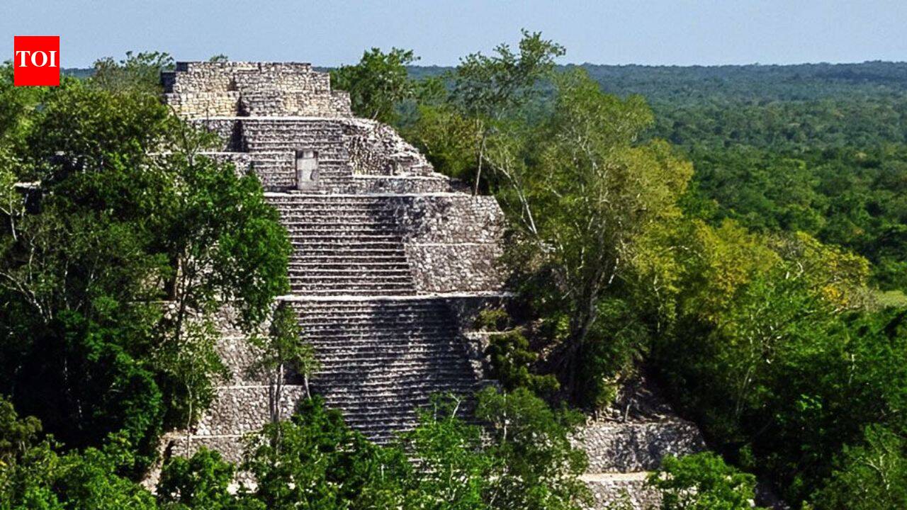The forgotten city of Mexico: A PhD student accidentally uncovered a massive ancient civilisation hidden beneath the jungle