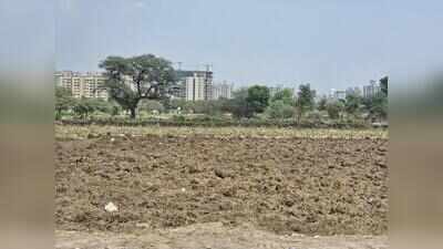 Maha govt will act against revenue officers involved in land record irregularities: Minister Bawankule