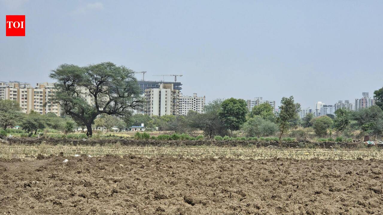Maha govt will act against revenue officers involved in land record irregularities: Minister Bawankule
