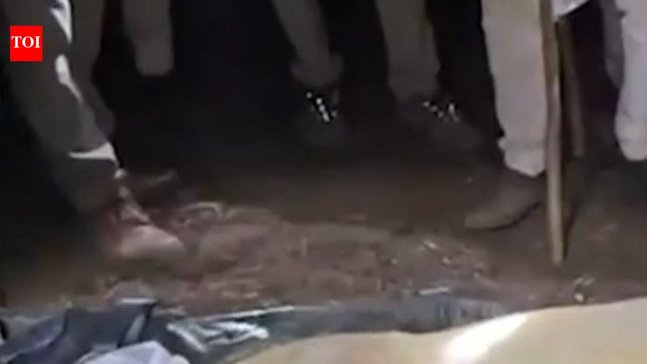 Lion kills five-year-old boy in Khambha