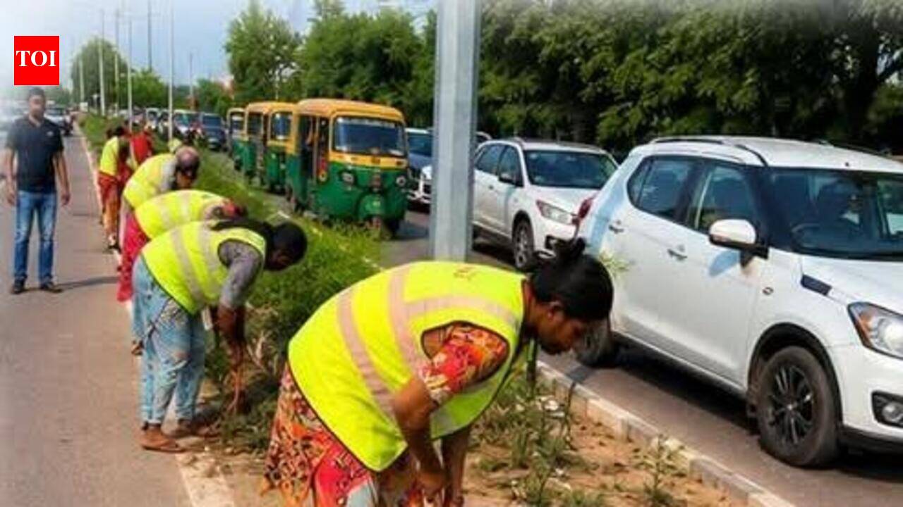 Mayor directs officials to clean up roadsides, berms in Mohali ahead of monsoon