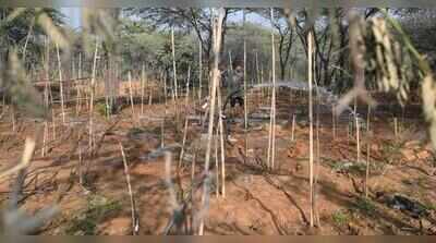 Plea to CEC says 2k trees felled for Maitri Van project