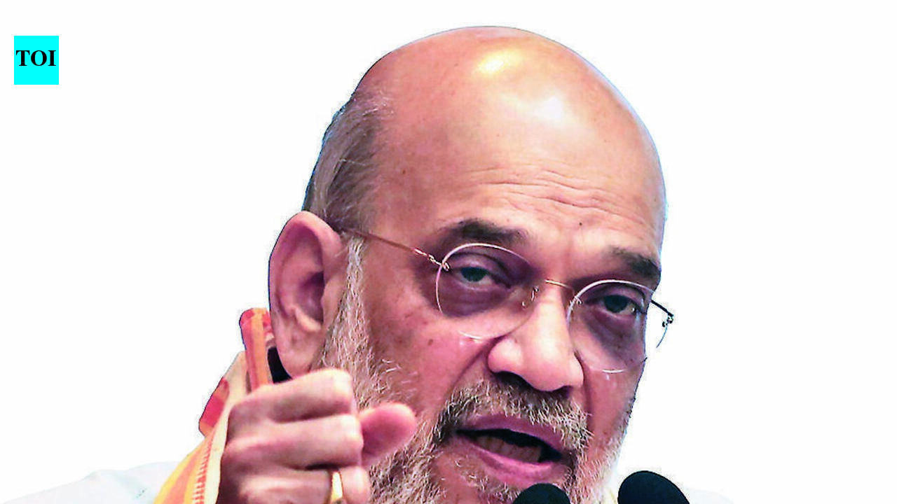 Union home minister Amit Shah in Gujarat on Saturday