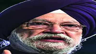 Iran oil minister in Delhi amid 60-day US sanctions waiver