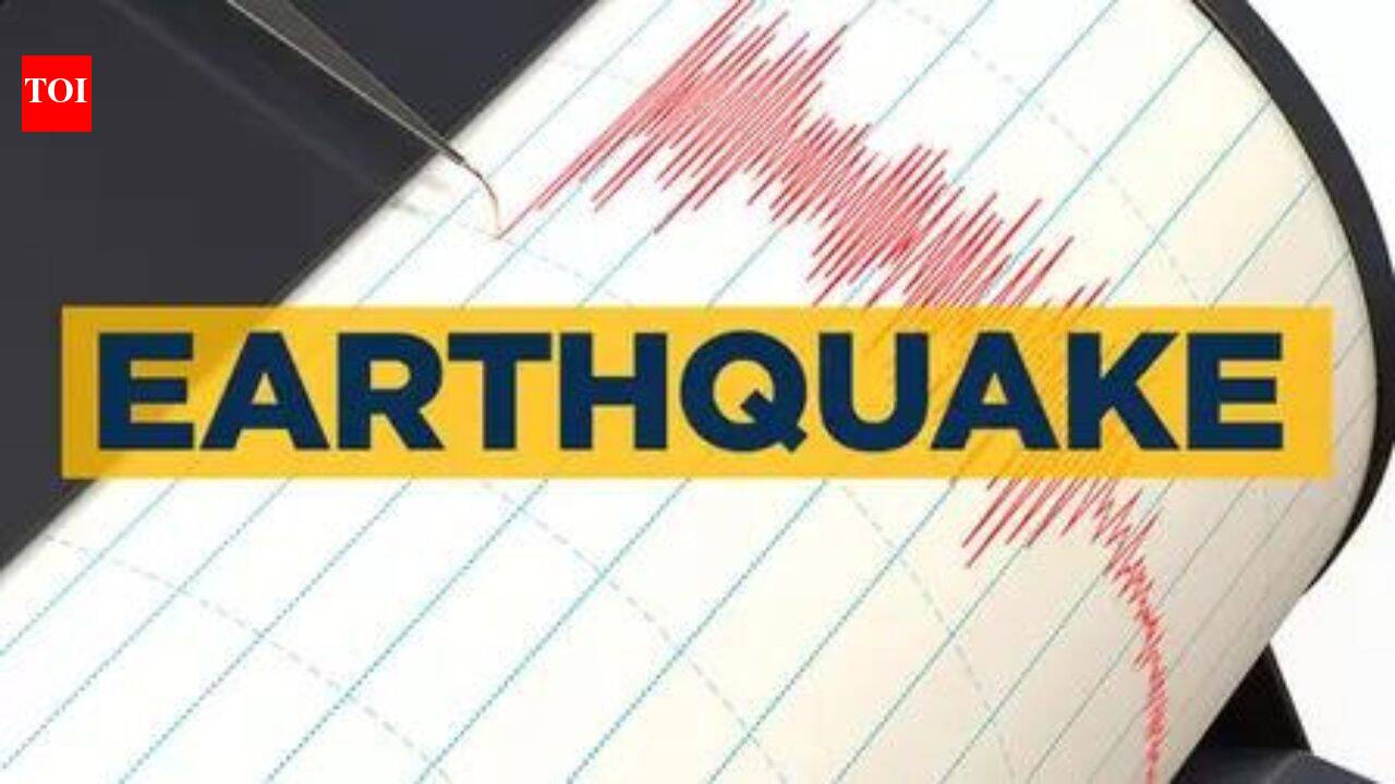 7.2 magnitude quake strikes off Japan, no tsunami warning issued