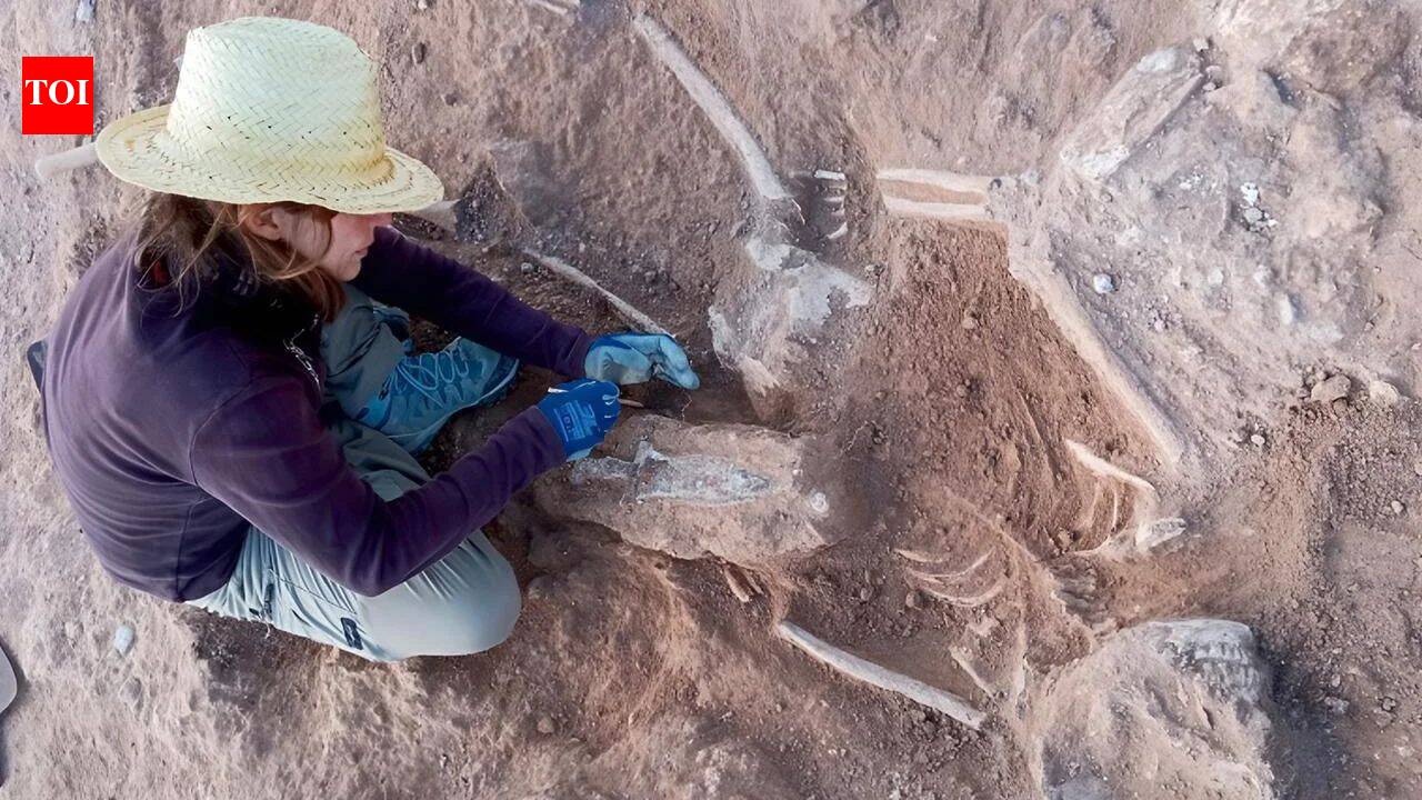 Archaeologists discover Roman soldier buried inside a 5,000-year-old Spanish fortress