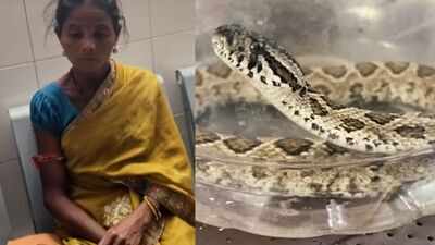 Odisha woman carries venomous snake to hospital after being bitten, helping doctors identify species