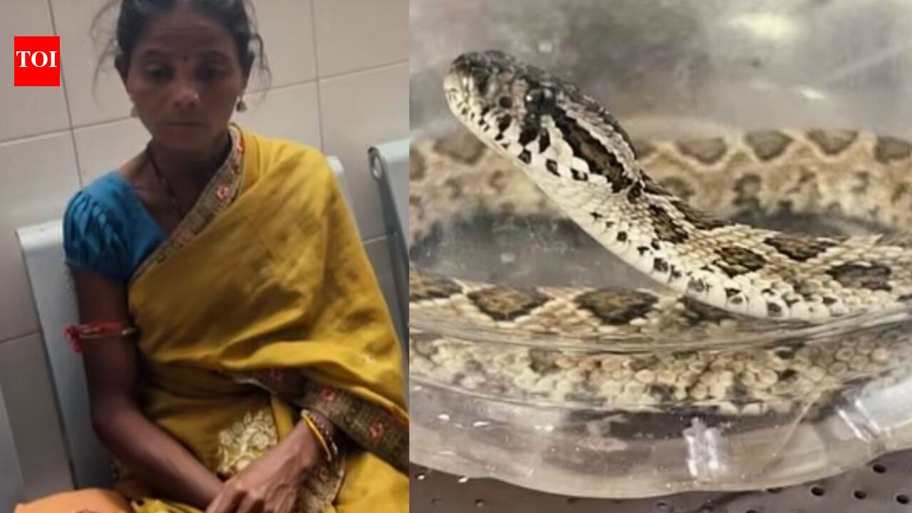 Odisha woman carries venomous snake to hospital after being bitten, helping doctors identify species