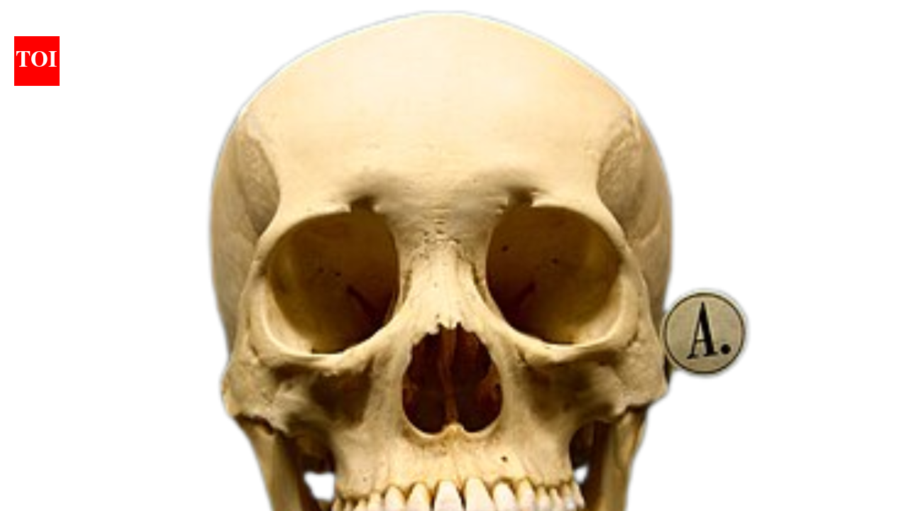 In 2018, scientists decoded plague DNA from Bronze Age teeth to trace its spread across Eurasia