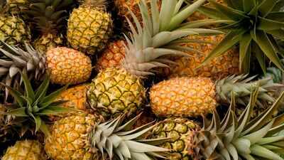  Tripura invites travellers to a three-day festival in New Delhi