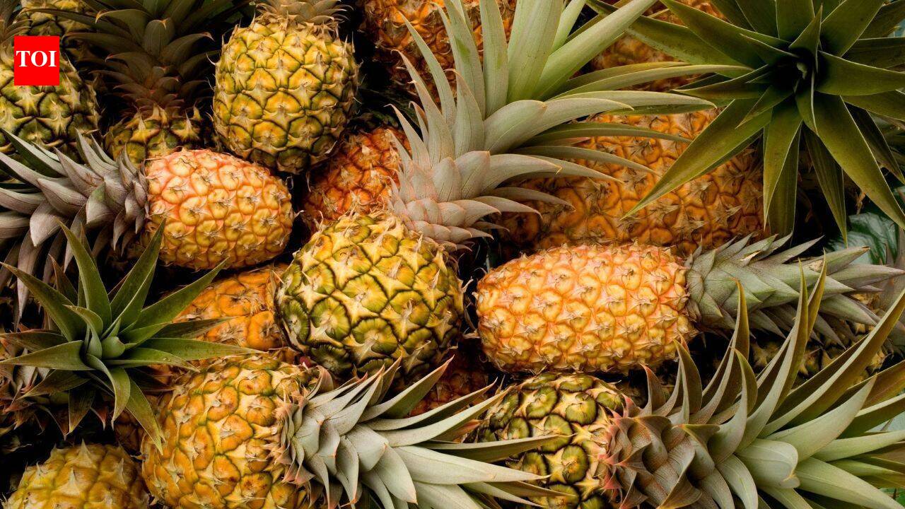 From queen pineapples to tribal culture: Tripura invites travellers to a three-day festival in New Delhi