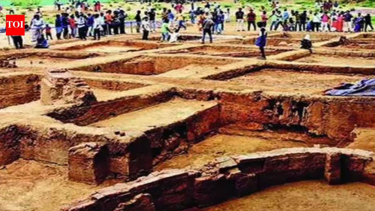 ASI DG writes to TN MP on Keeladi excavation report, says internal committee will re-examine report on site