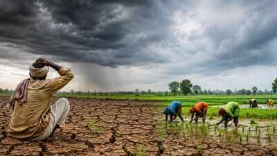 Monsoon misfires: Over half of Telangana districts face rainfall stress, Kharif sowing at risk