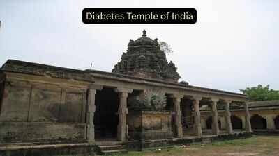  The ancient Tamil Nadu shrine where devotees believe ants carry away their illness