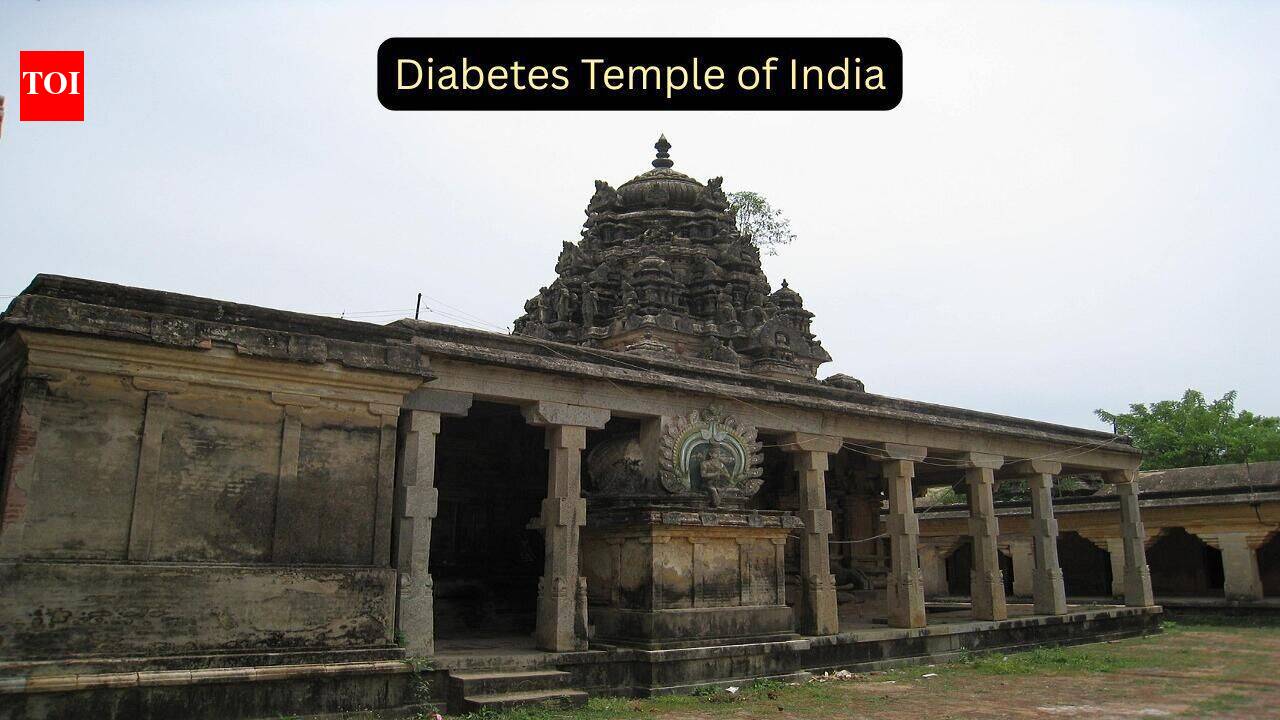 Inside ‘Diabetes Temple’: The ancient Tamil Nadu shrine where devotees believe ants carry away their illness
