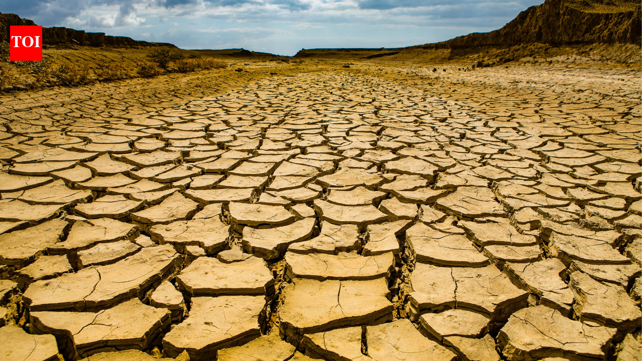 Senegal's worsening droughts are quietly reshaping families, and researchers say it could mean climate stress is nudging migration from temporary moves toward longer-term settlement