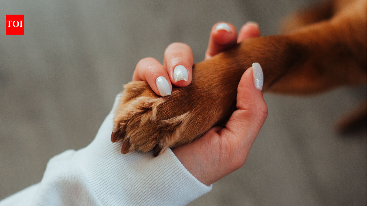 A study of 102 online dog memorials finds that people do more than mourn their pets, because the obituaries also preserve identity, purpose, and a bond that does not end at death