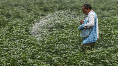 Green urea push: Centre plans 7.24 lakh MT green ammonia procurement to reduce fertiliser imports