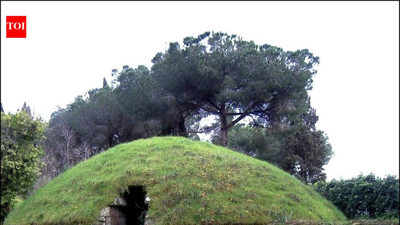 In 2018, archaeologists opened an Etruscan tomb and found a ceremonial chariot, revealing how elite women were honoured