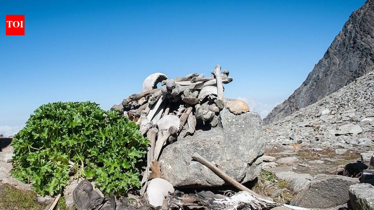 In 2019, geneticists tested bones from Roopkund Lake, showing the Himalayan skeletons came from very different journeys
