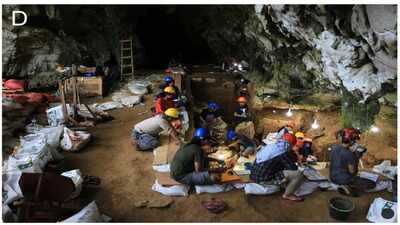 In 2018, researchers dating Sulawesi cave art widened the story of Ice Age creativity beyond Europe