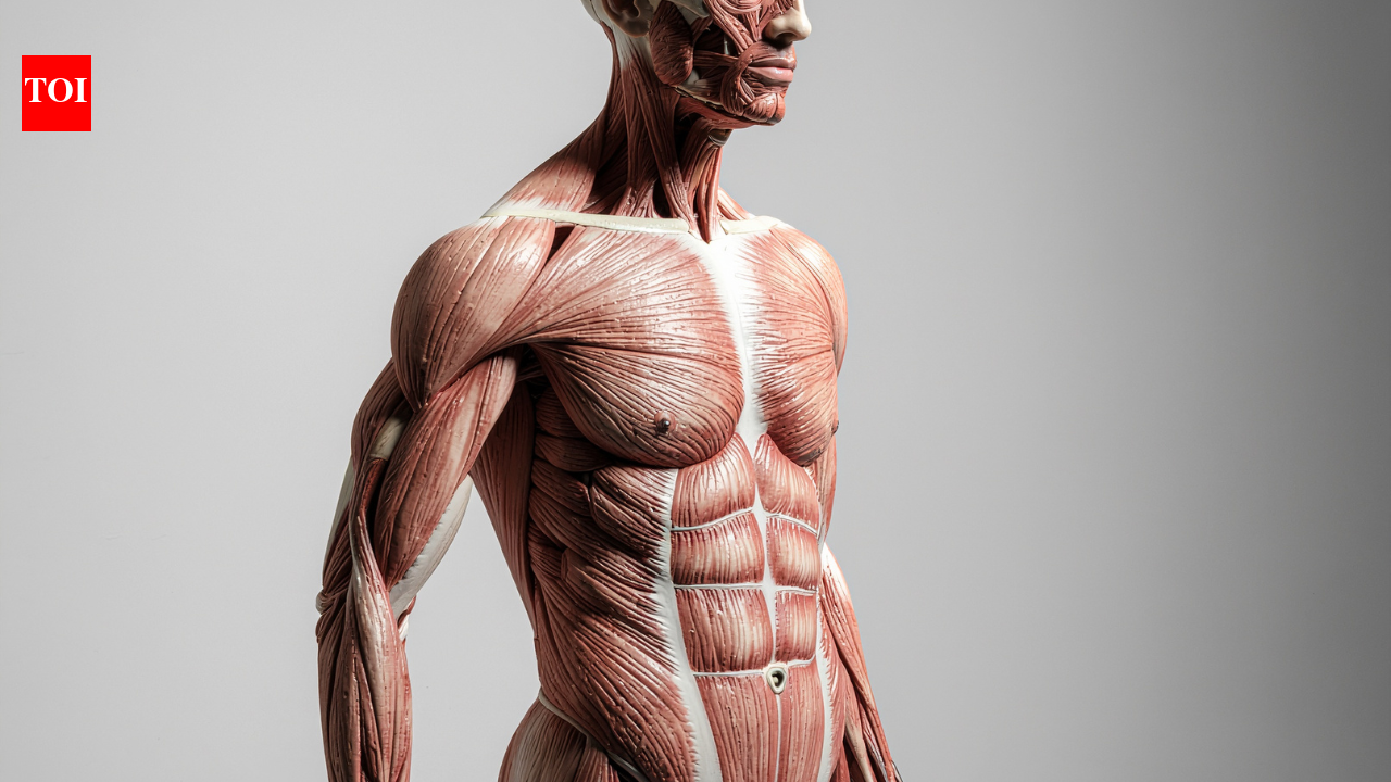 The weight men don’t talk about: Why gynecomastia is more than a cosmetic concern