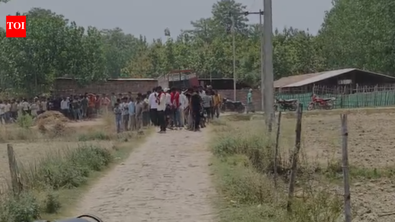 Leopard injures 7 in Bahraich village before fleeing into sugarcane fields; search on