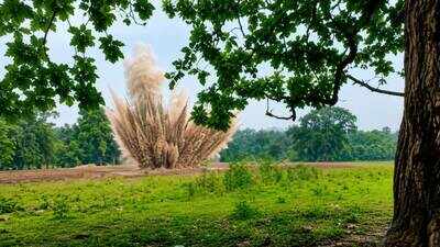 Army bomb disposal squad defuses mortar shell in West Singhbhum