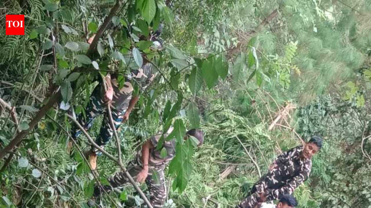 Army Subedar dies after truck plunges into Arunachal hillside