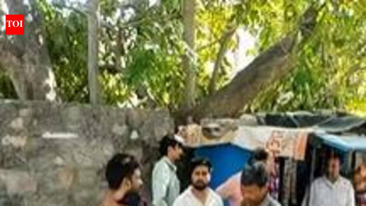 Security guard’s throat slit during alleged burglary bid in Jaipur