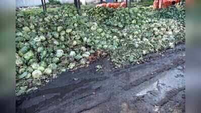 State govt plans cold storage facility in Nashik city to reduce farm losses