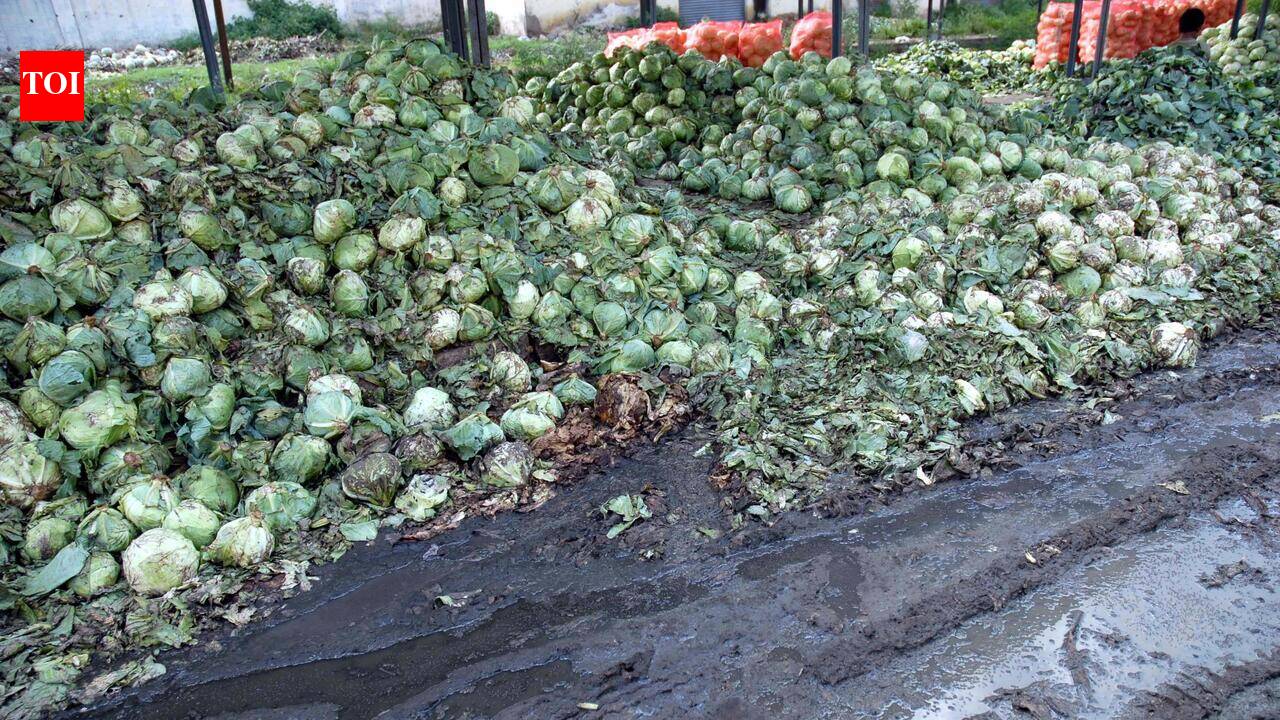 State govt plans cold storage facility in Nashik city to reduce farm losses