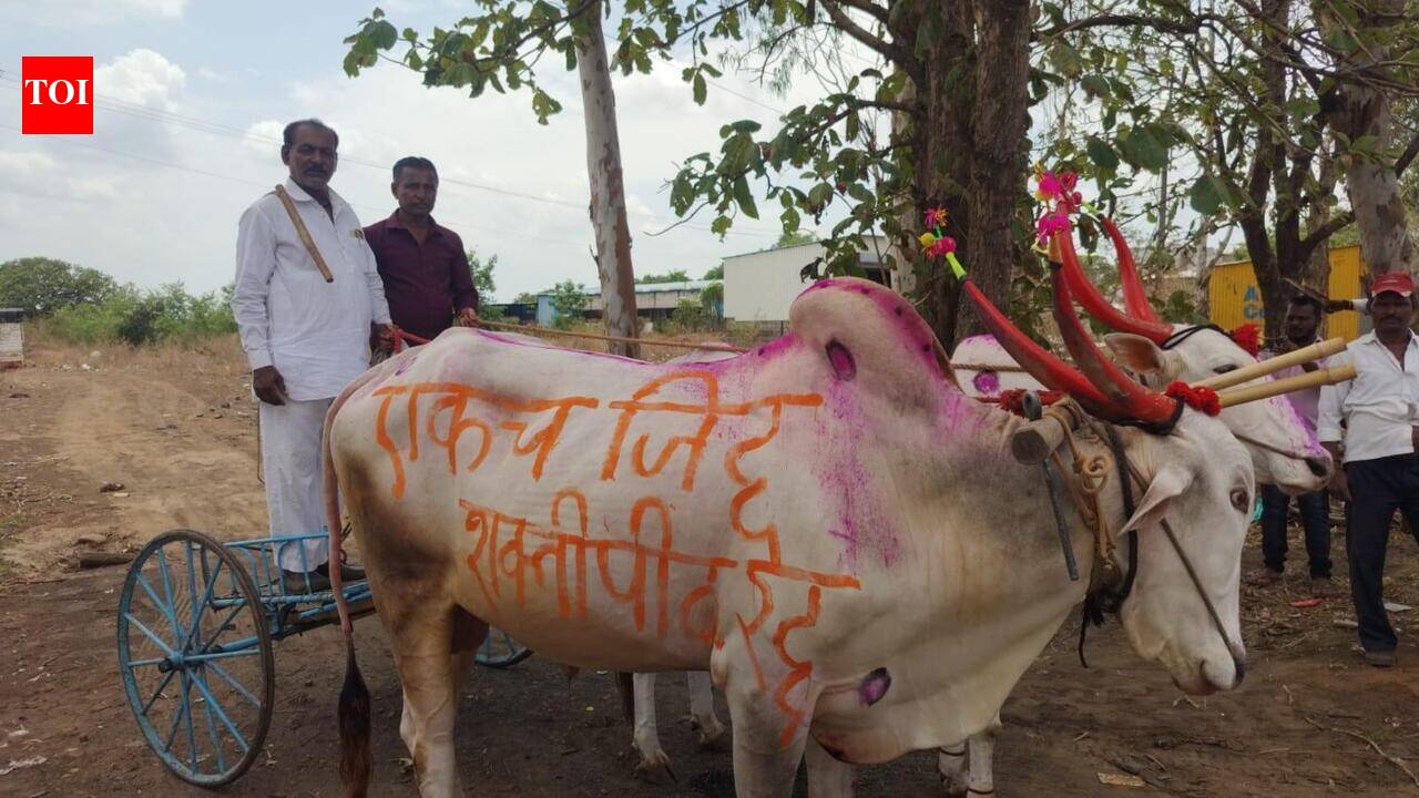 Mahayuti-governed Kolhapur ZP passes resolution against Shaktipeeth Expressway