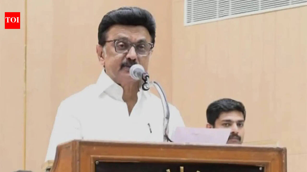 'No decision yet': MK Stalin on contetsing bypoll amid Trichy East buzz