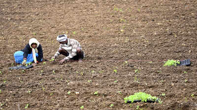 Govt establishes new Central Pest Management Centre in Varanasi