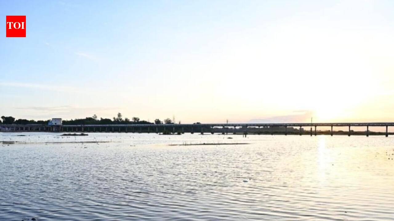 Trichy corporation floats retender for Cauvery riverfront, work to be delayed