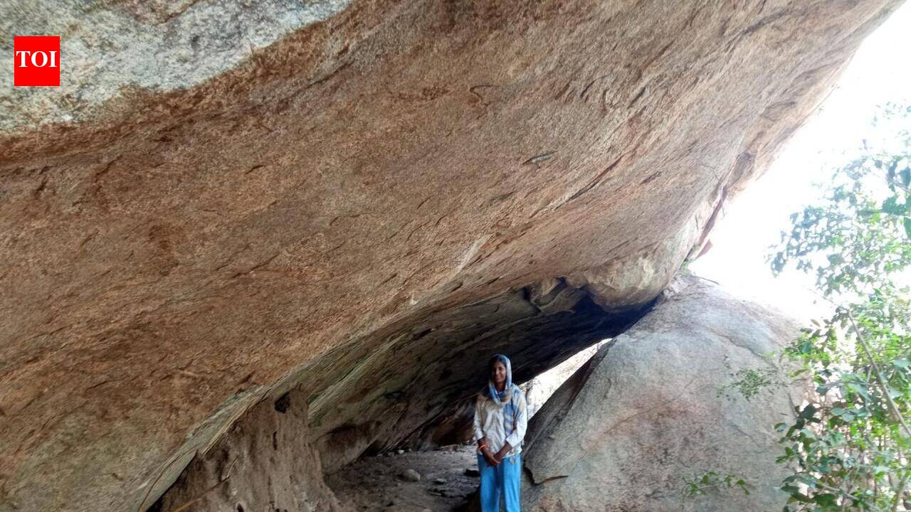 Prehistoric site with rock shelter, art, stone tools found near Chennai