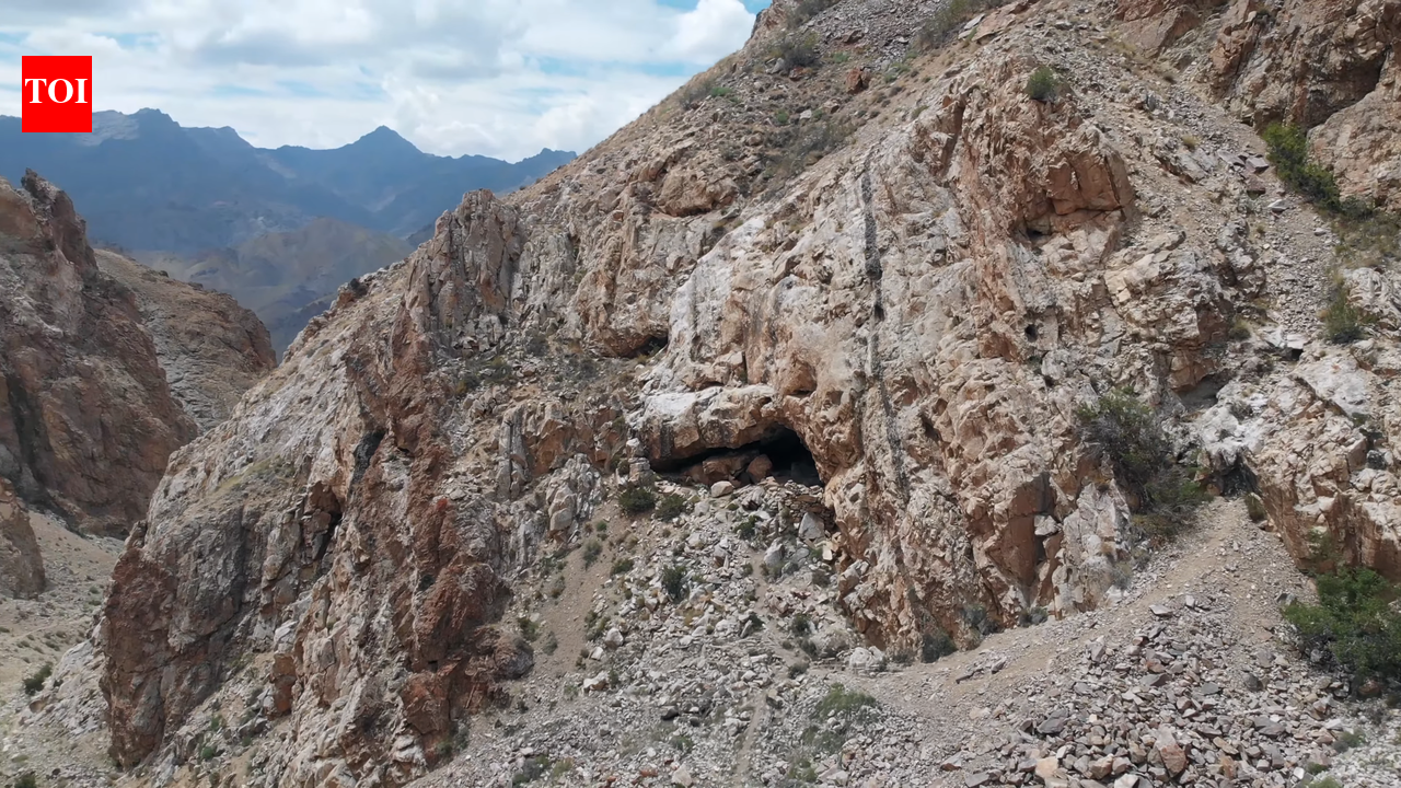 Ancient cave skeletal remains throw light on Ladakh’s role as crossroads of migration