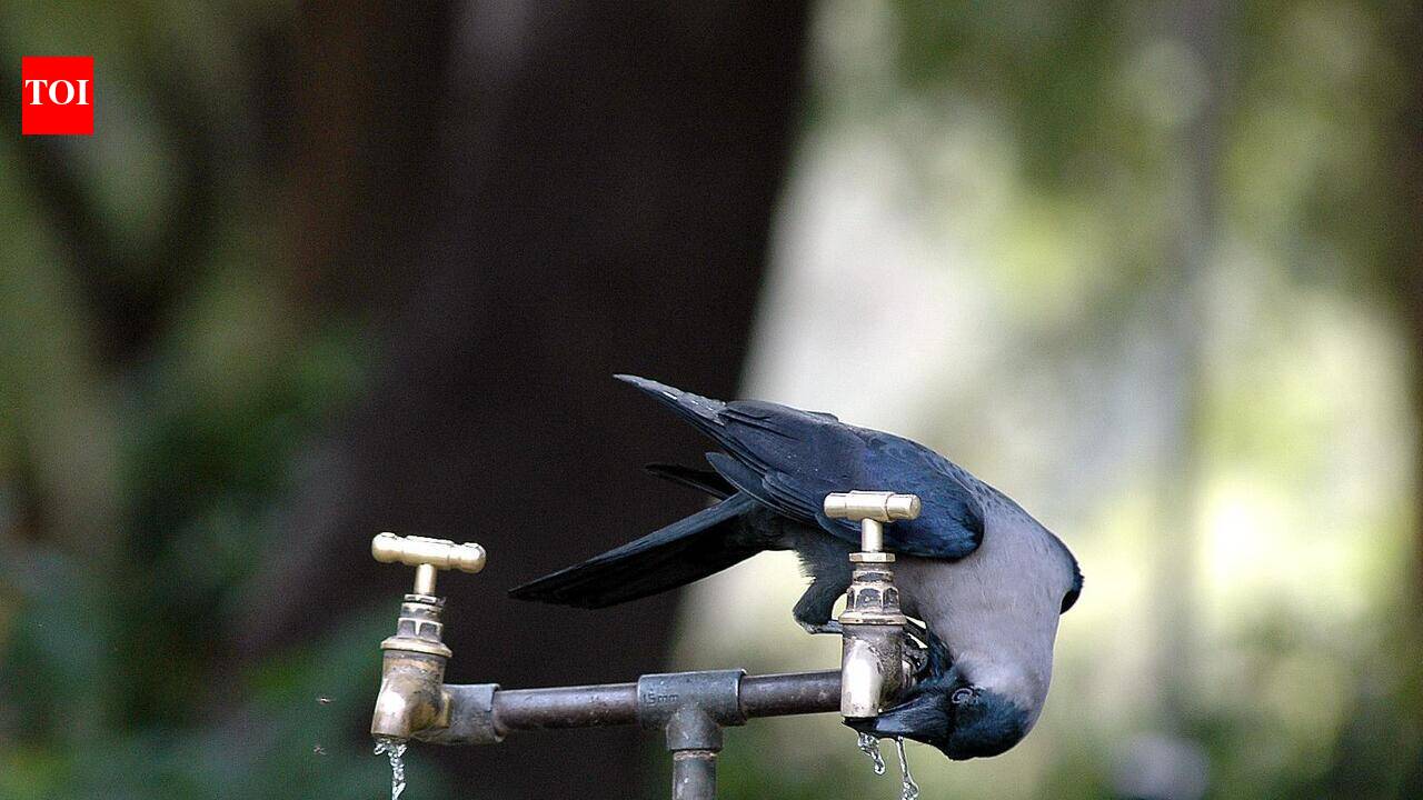 Navi Mumbai Municipal Corporation cuts water supply, sewage connection of ‘dangerous’ Vashi building