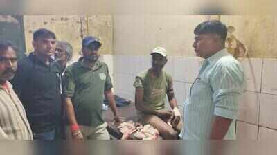 Forest staff survives tigress attack
