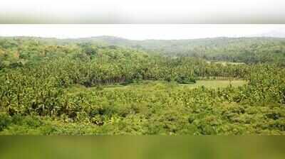 TCP clears conversion of 11,948sqm to settlement zone