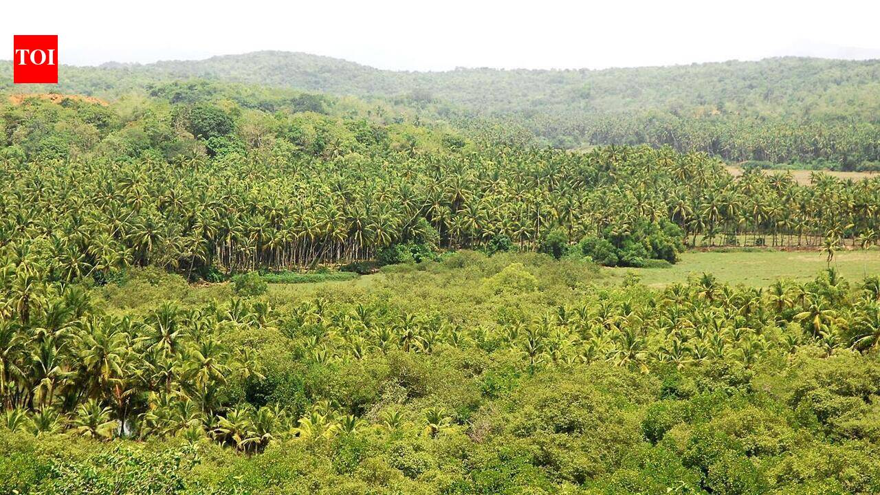 TCP clears conversion of 11,948sqm to settlement zone