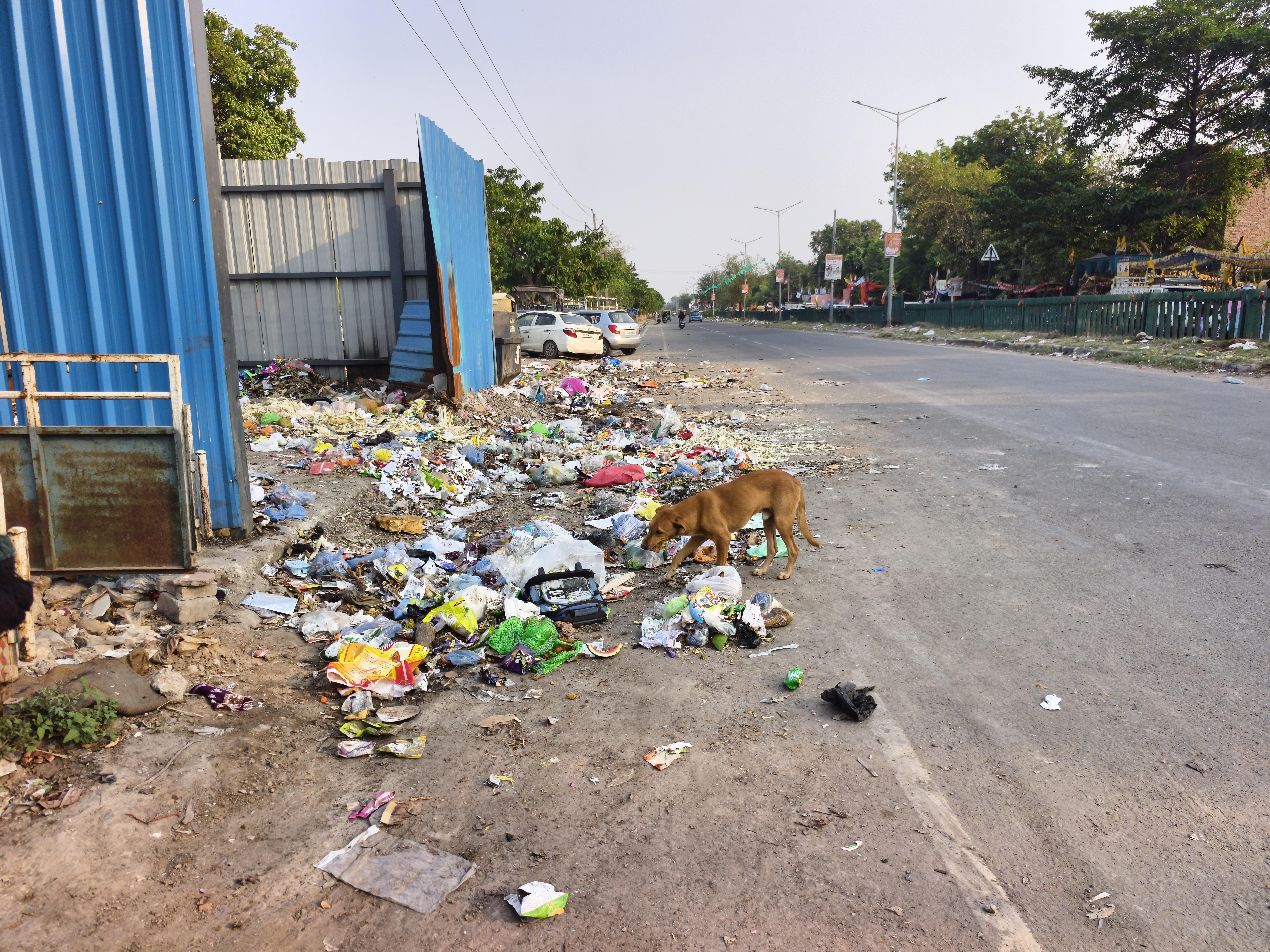 Mohali MC to enclose all waste management centres, install CCTVs