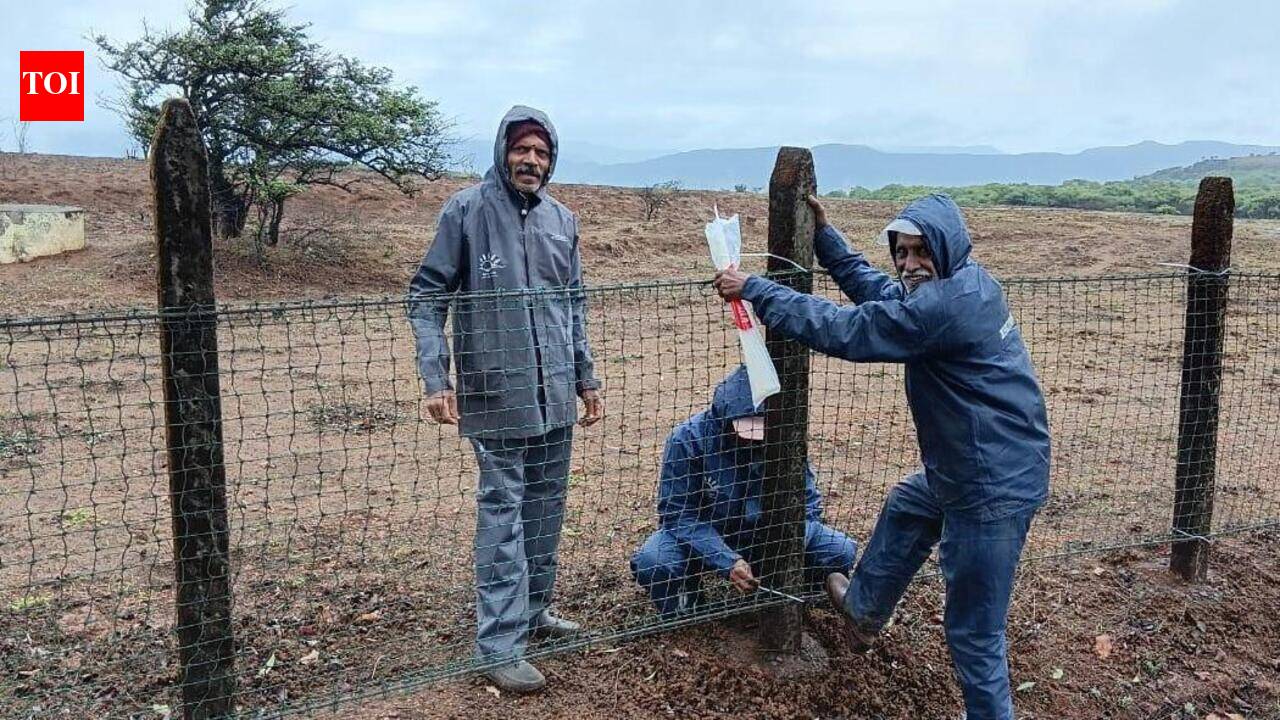 Temporary fencing comes up at Kas Plateau to keep ‘over-enthusiastic’ tourists at bay