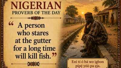 Nigerian proverb of the day: "A person who stares at the gutter for a long time will kill fish" and a lesson in patience, persistence and reward