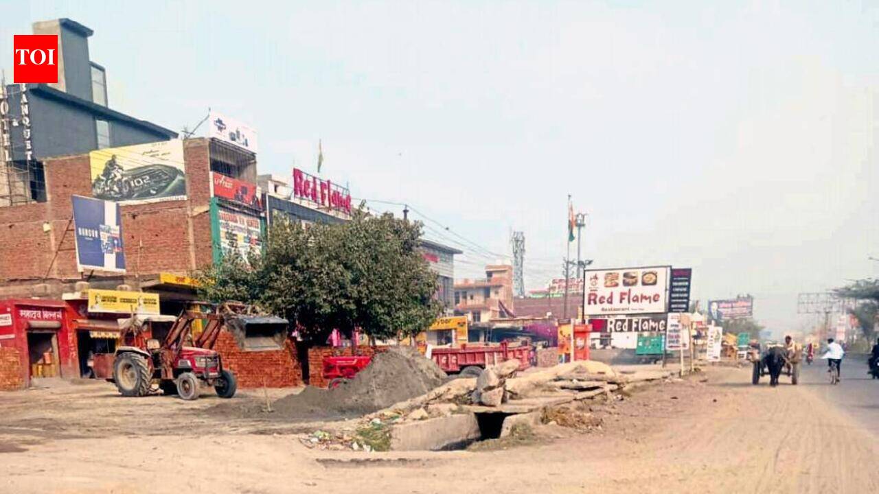 Who’ll protect green belt? GDA, Loni civic body spar before NGT