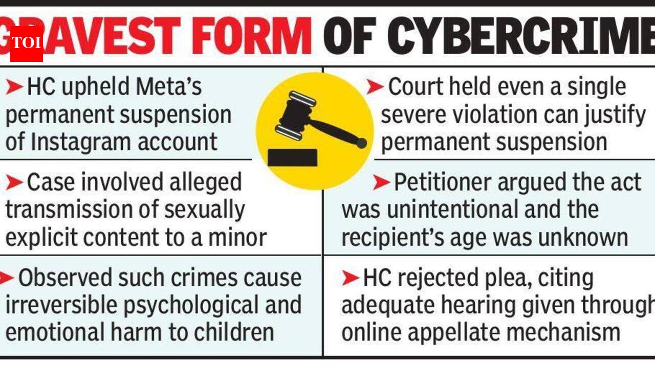 HC upholds Instagram ban over explicit child abuse content