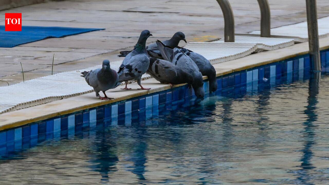 Gurgaon records humid day but relief on the horizon