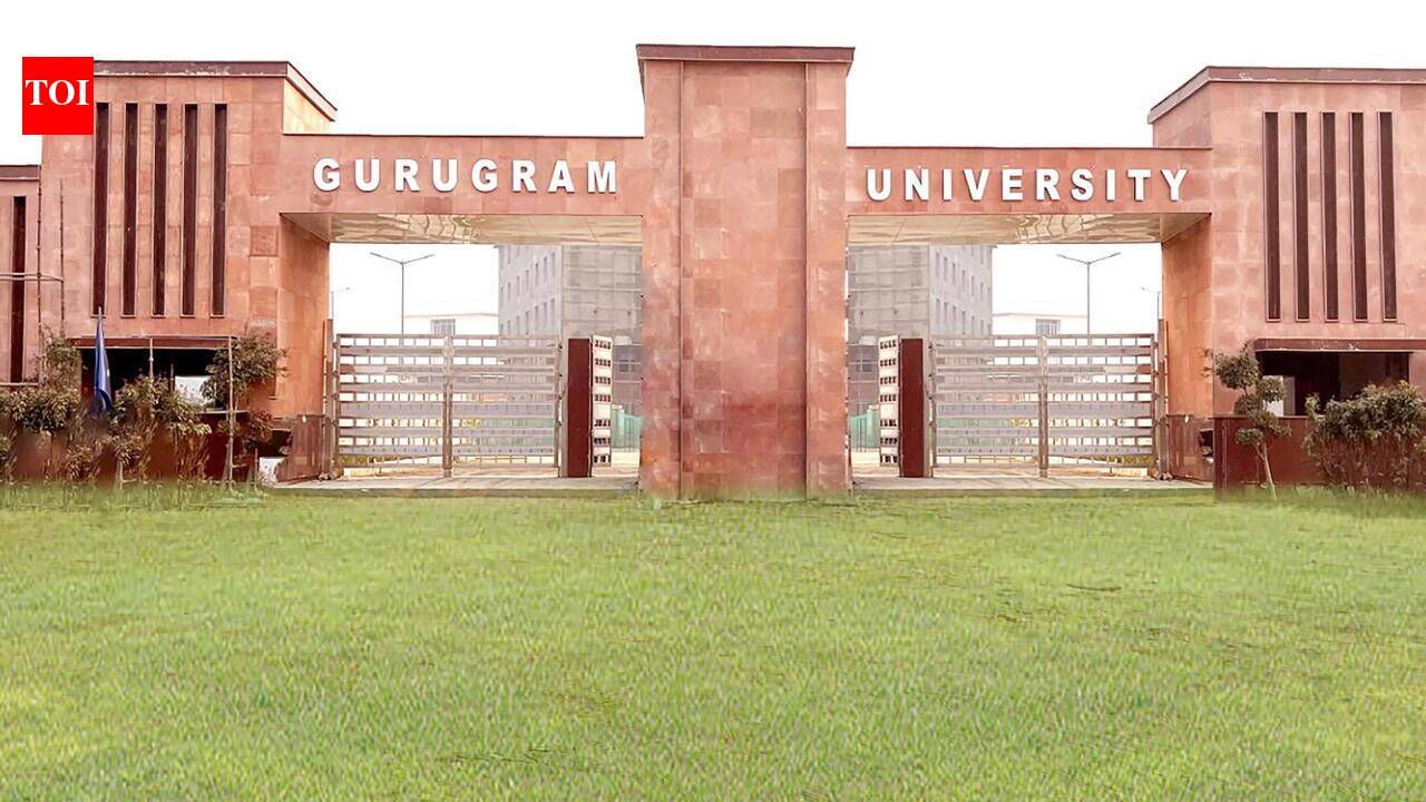 Gurugram university launches executive MBA programme