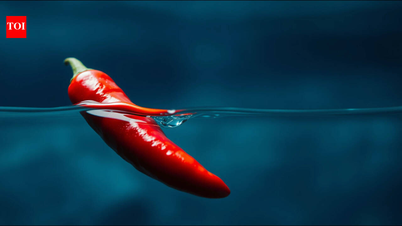 Burmese proverb of the day: "A real chilli, seven fathoms under water, will still taste hot" reminds us how true character shines through all situations
